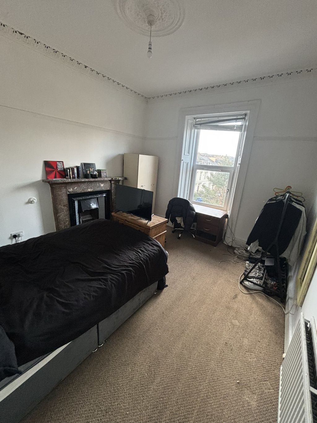 Montague Street Woodlands